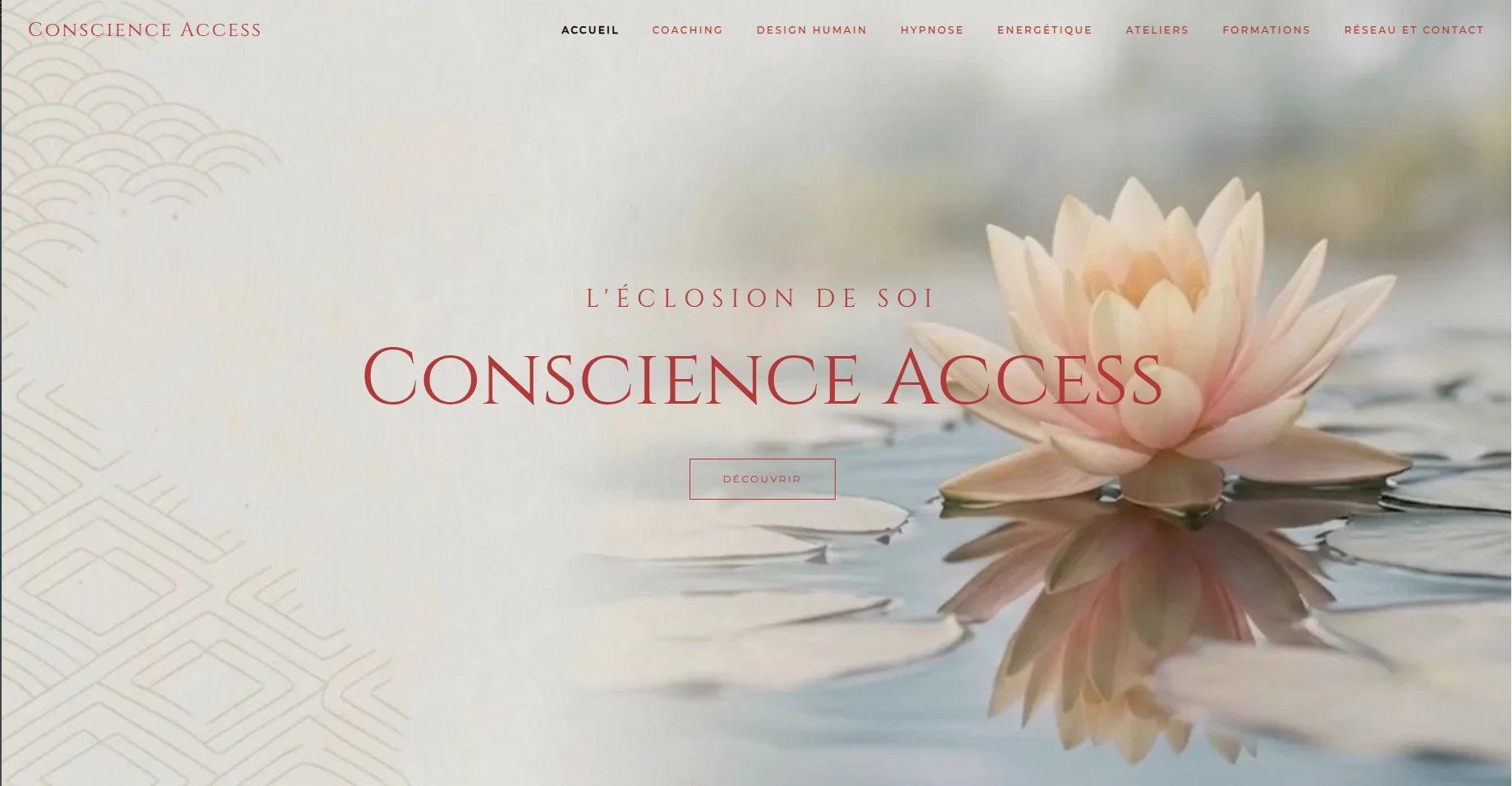 Conscience Access